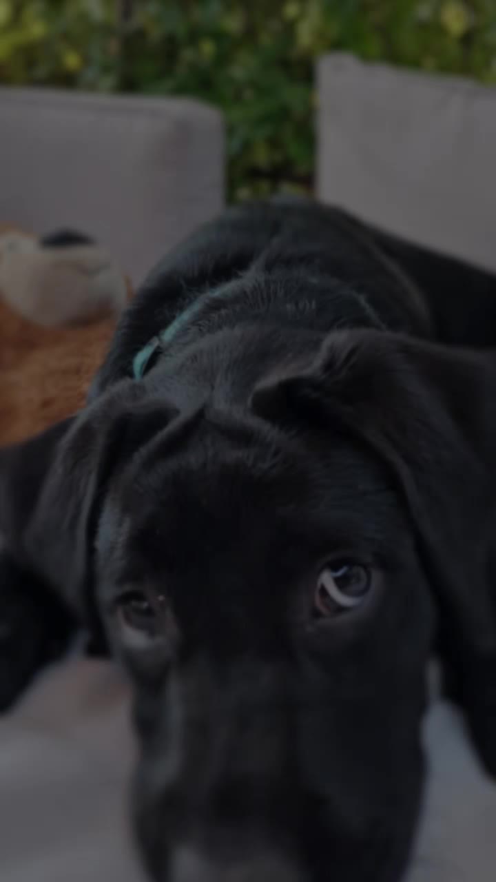 @_Just-Nico