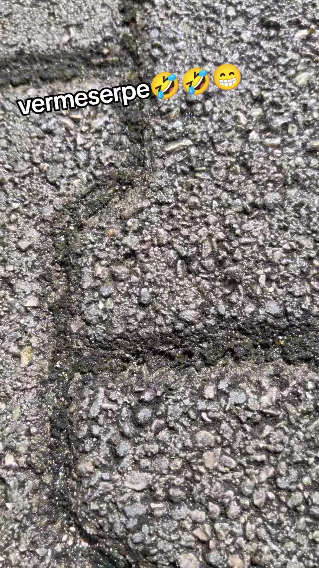 @DiegoVibes