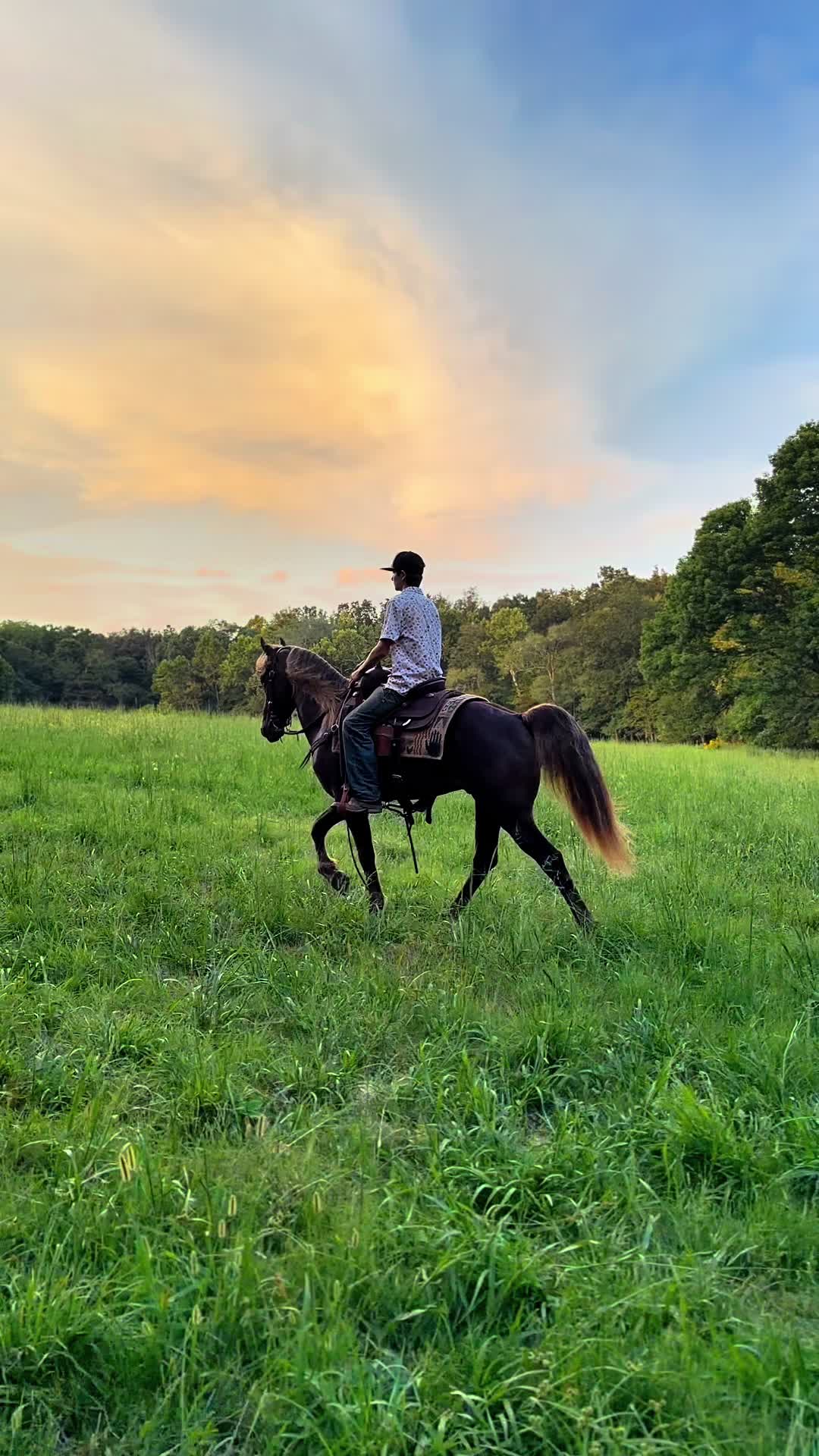 @Lucky D Ranch 🍀