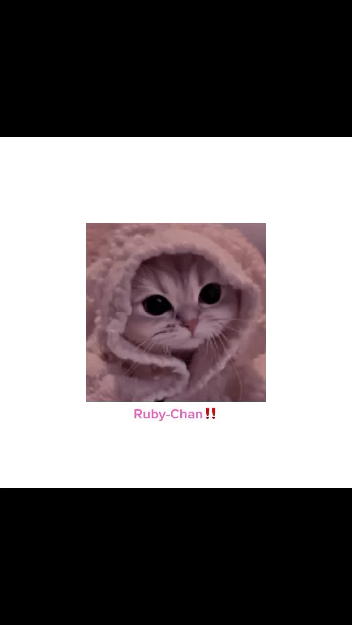 @SL33PY