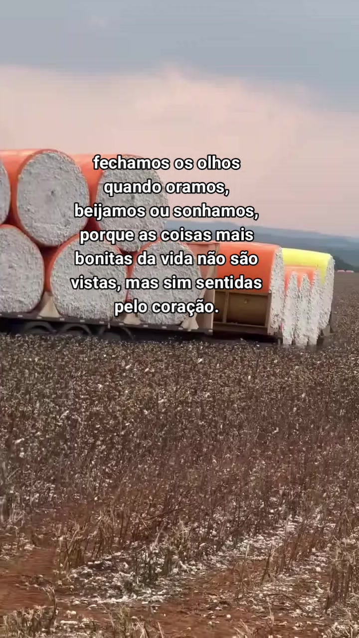 @SM CORTES