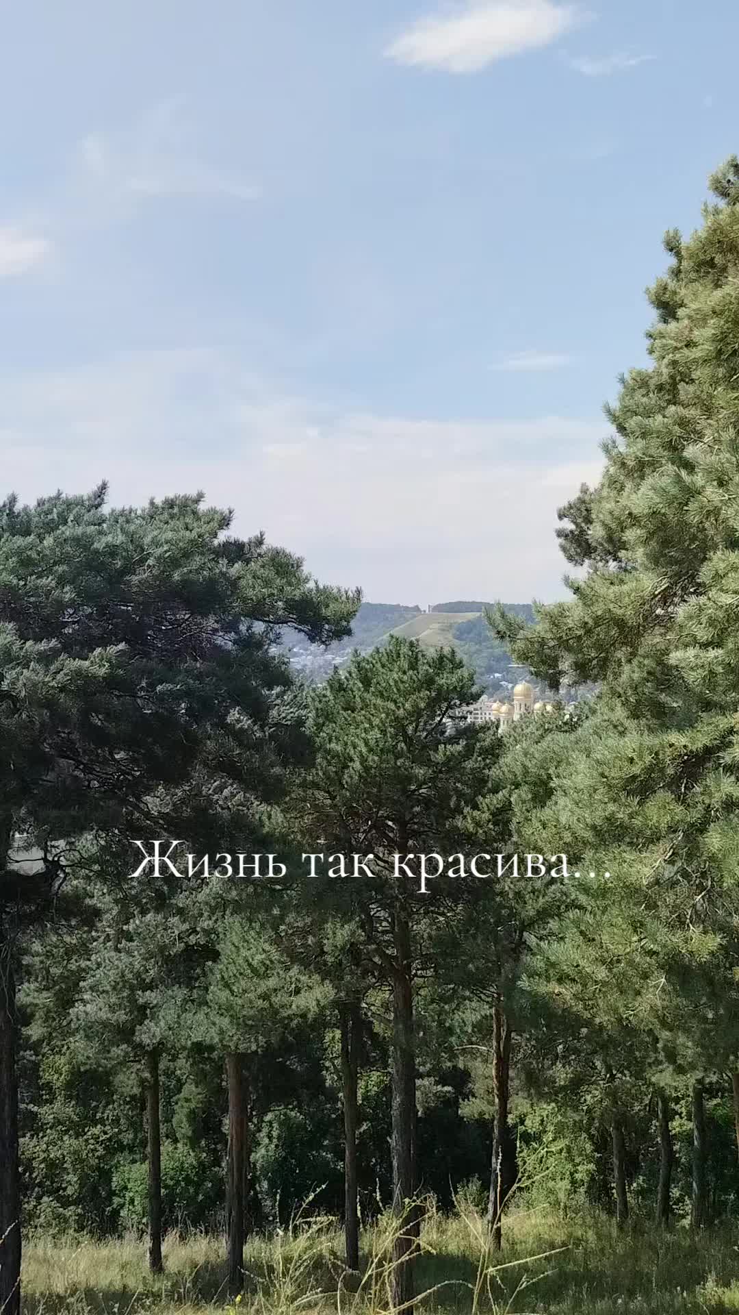 @🌸"Natalia"🍀♋️
