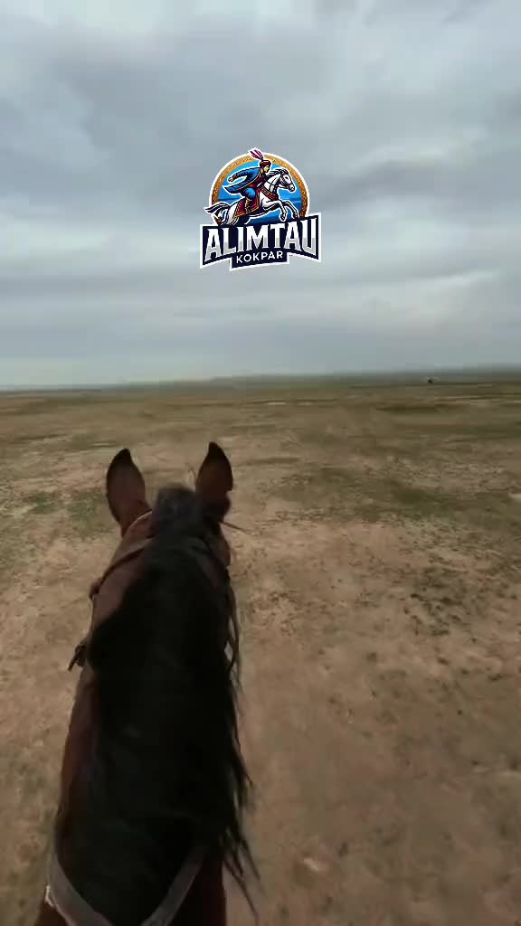 @Alimtau_kokpar