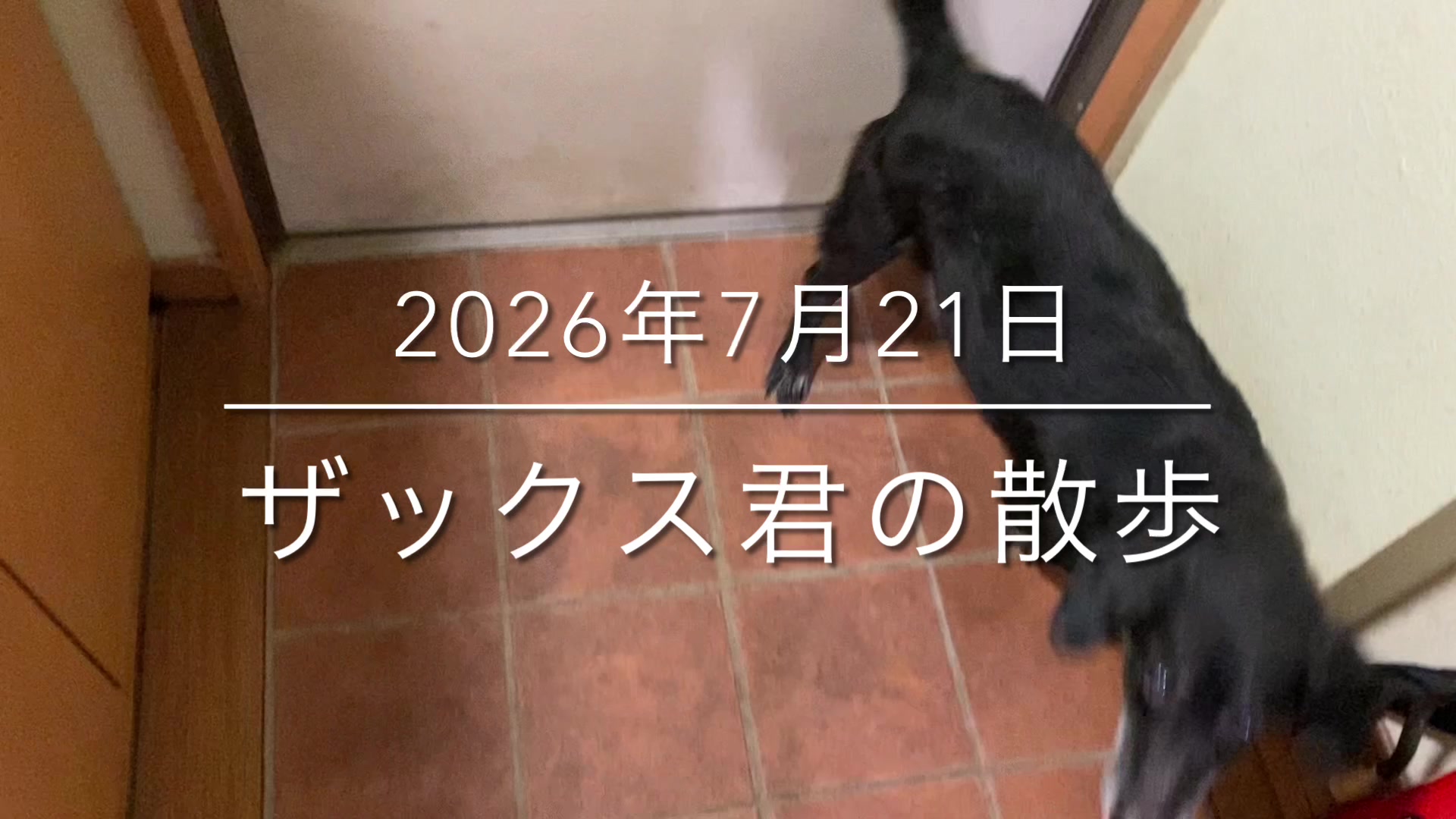 @sakihaman
