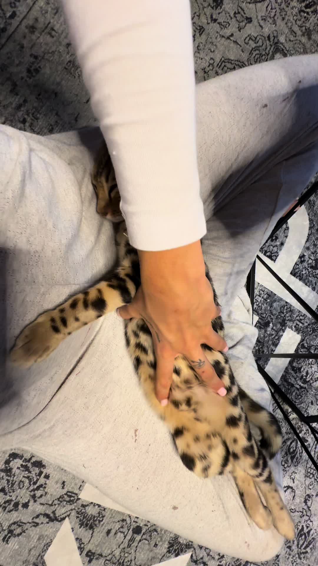 @lpzsam