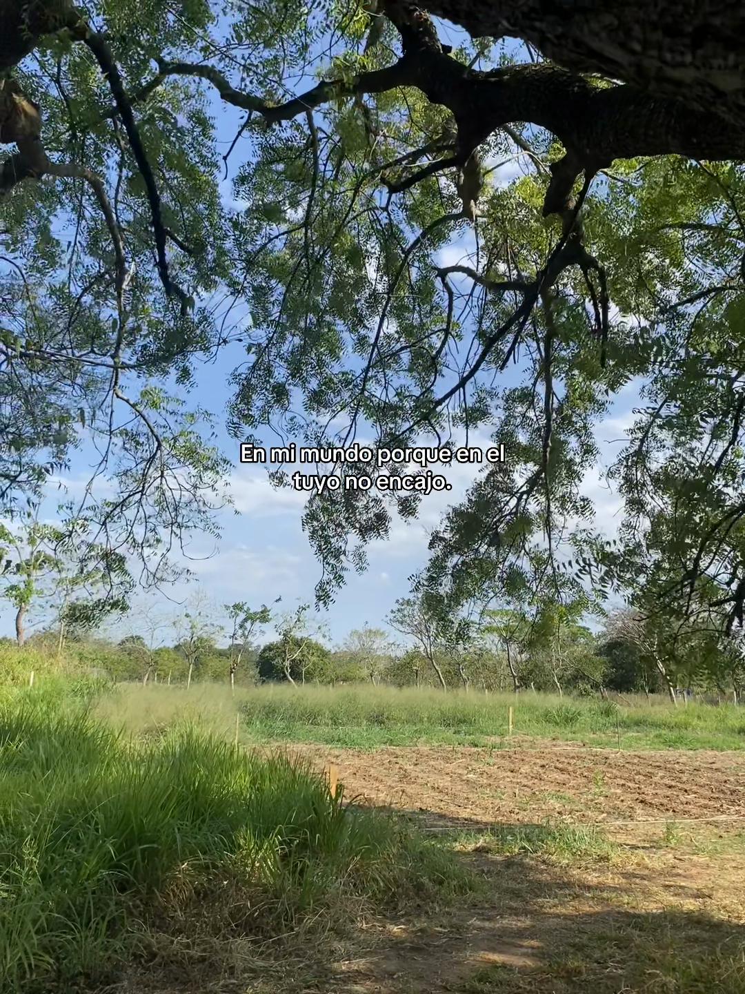 @ℒ𝒶 𝓅𝓁𝒶𝓃𝓉𝒾𝓉𝒶🌱