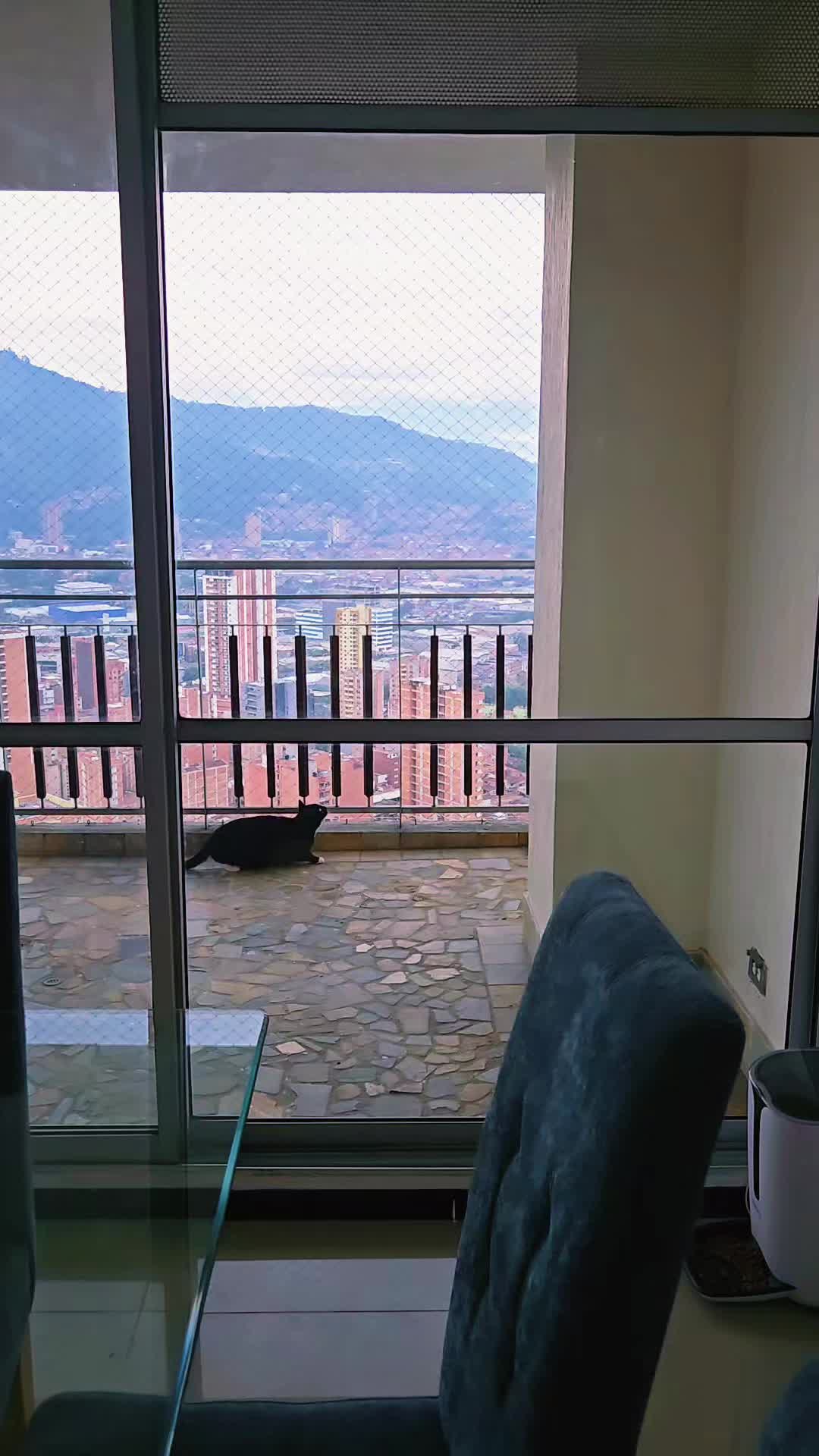 @Luna