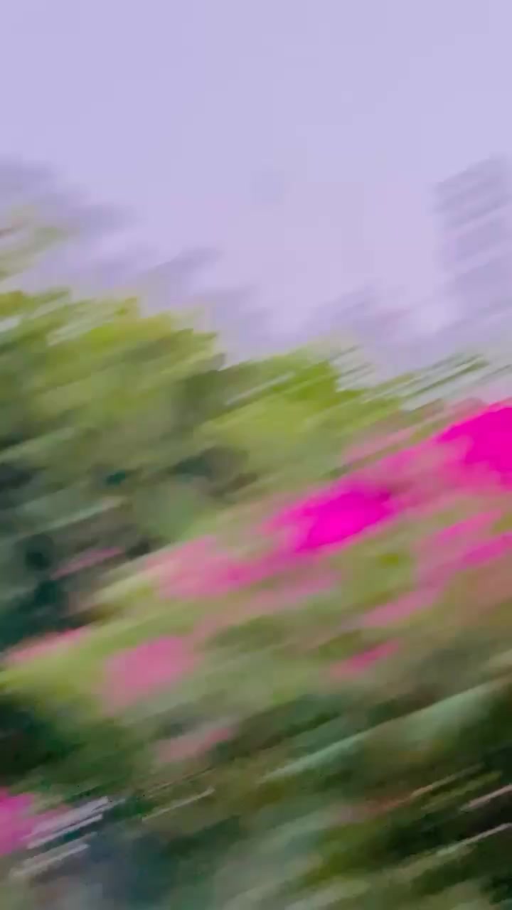 @👑حسین شاہد قریشی👑