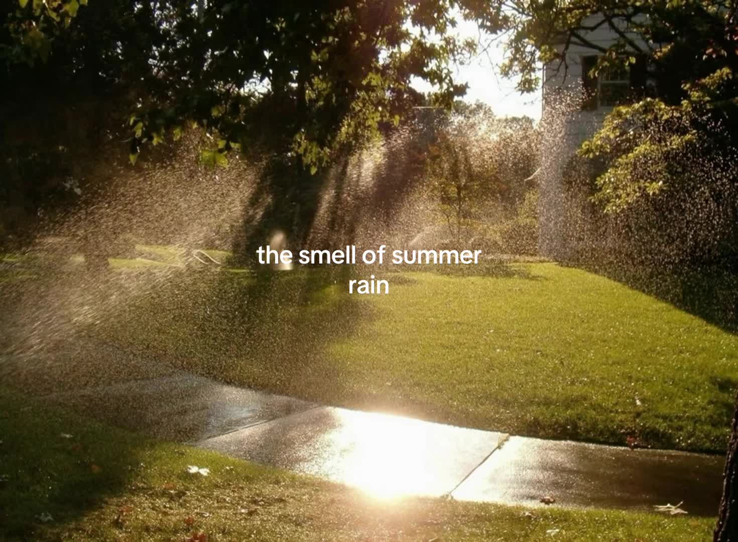 @cozyhour