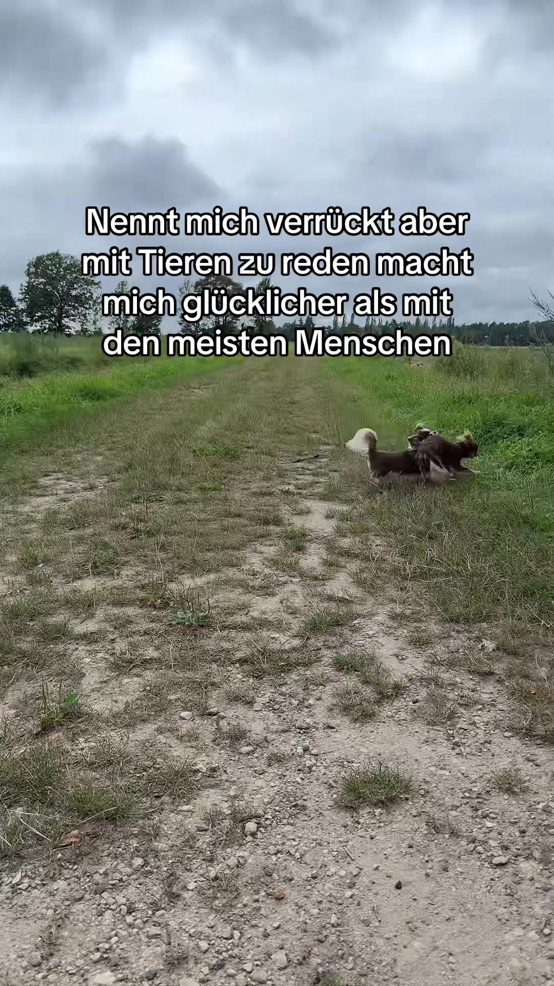 @Hɪᴍʙäʀᴄʜᴇɴ 🦅🇩🇪