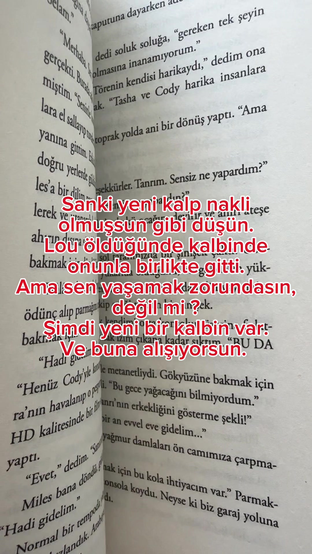 @bittenbyspicybooks
