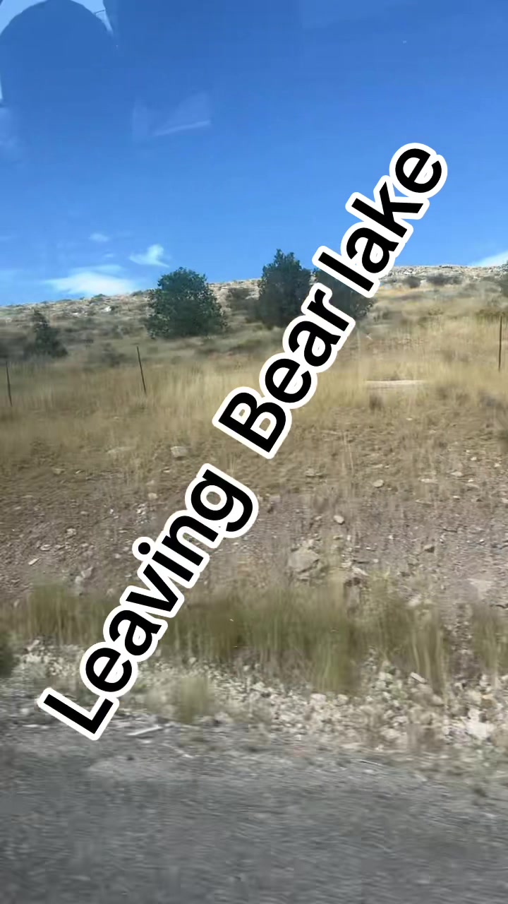 @🧨🐺Treyson_teamwolf🐺🧨