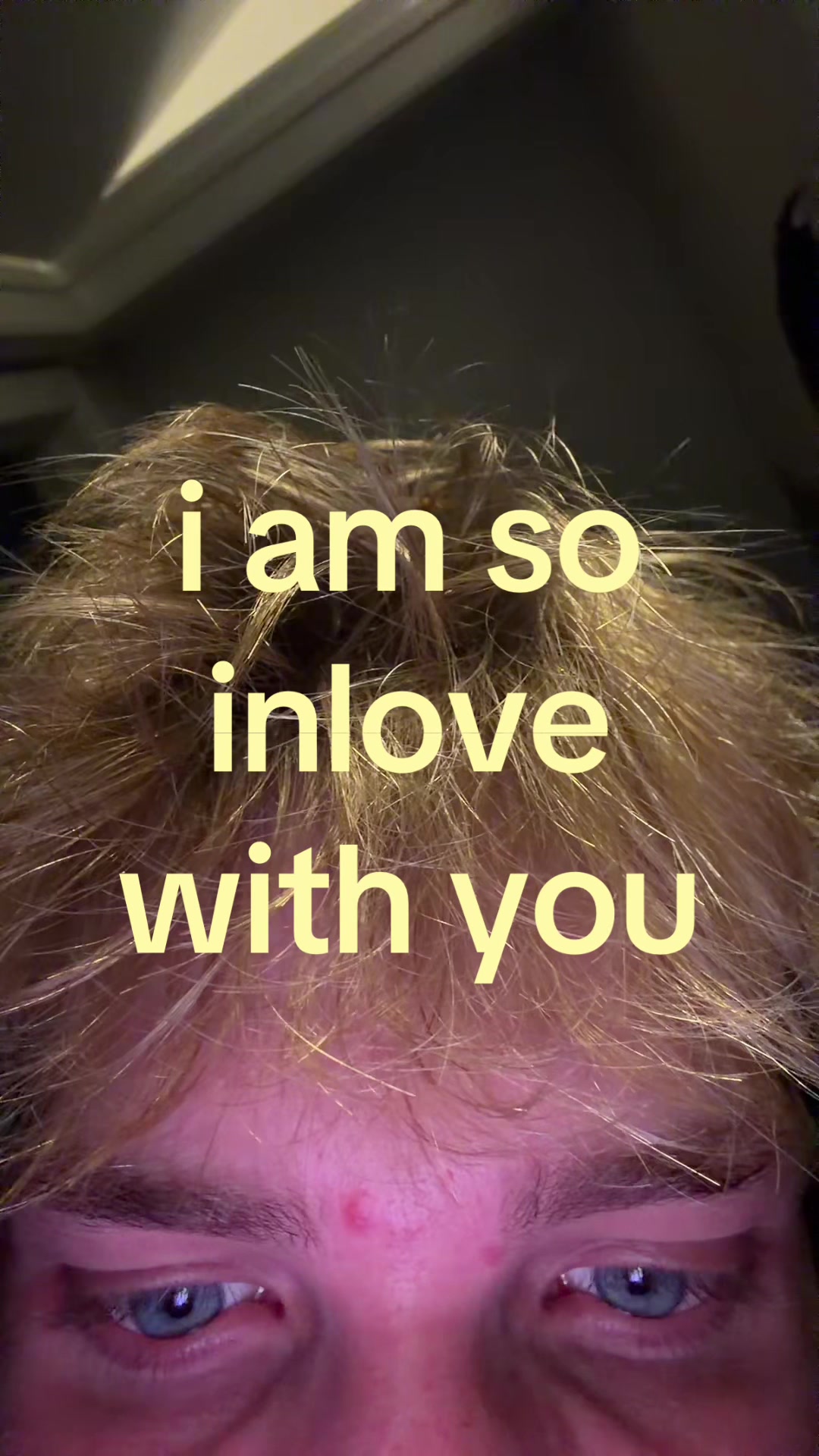 @camtworealatable