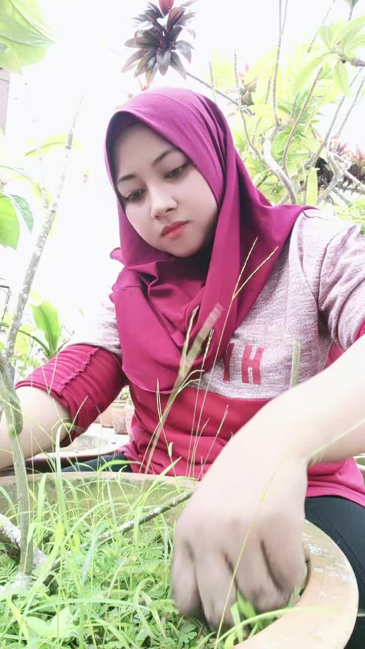 @alfizha628