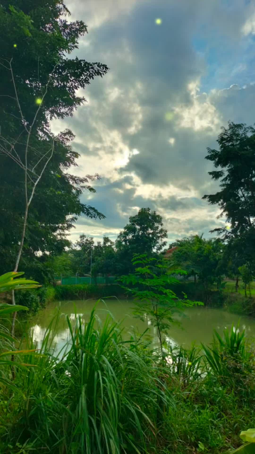 @Surasak