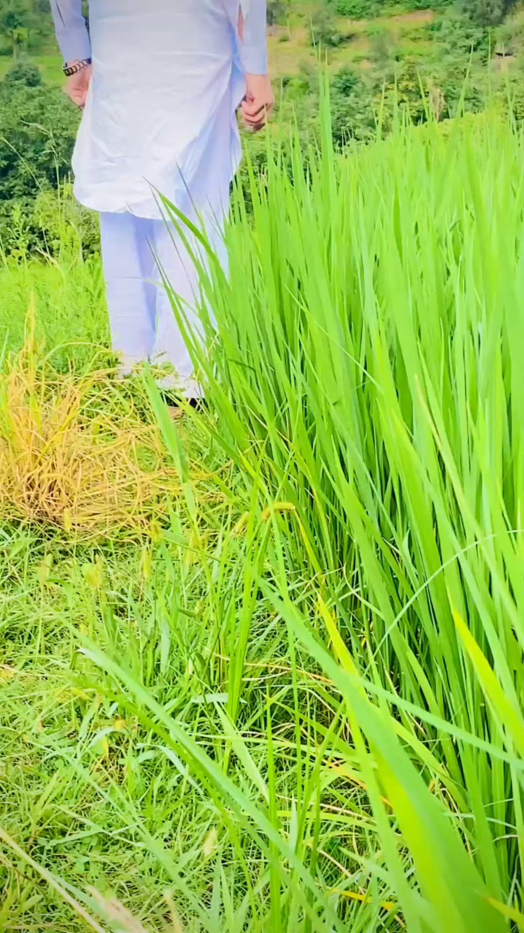 @⫷° 🎀 𝑅𝒾𝓍❤️🔥𝐵𝒽𝒶𝒾 🔥°⫸