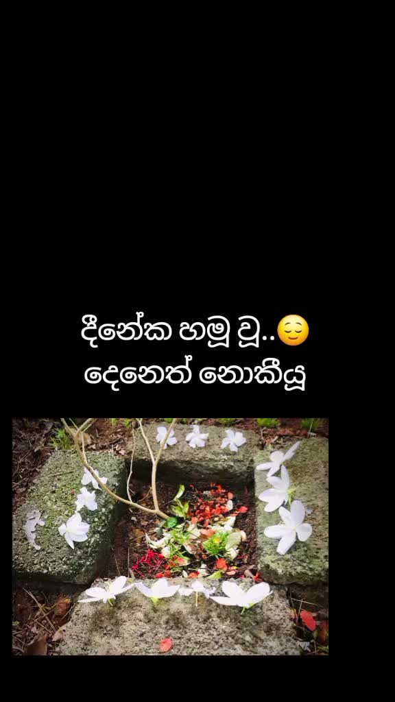 @mahi baba❤️🤭