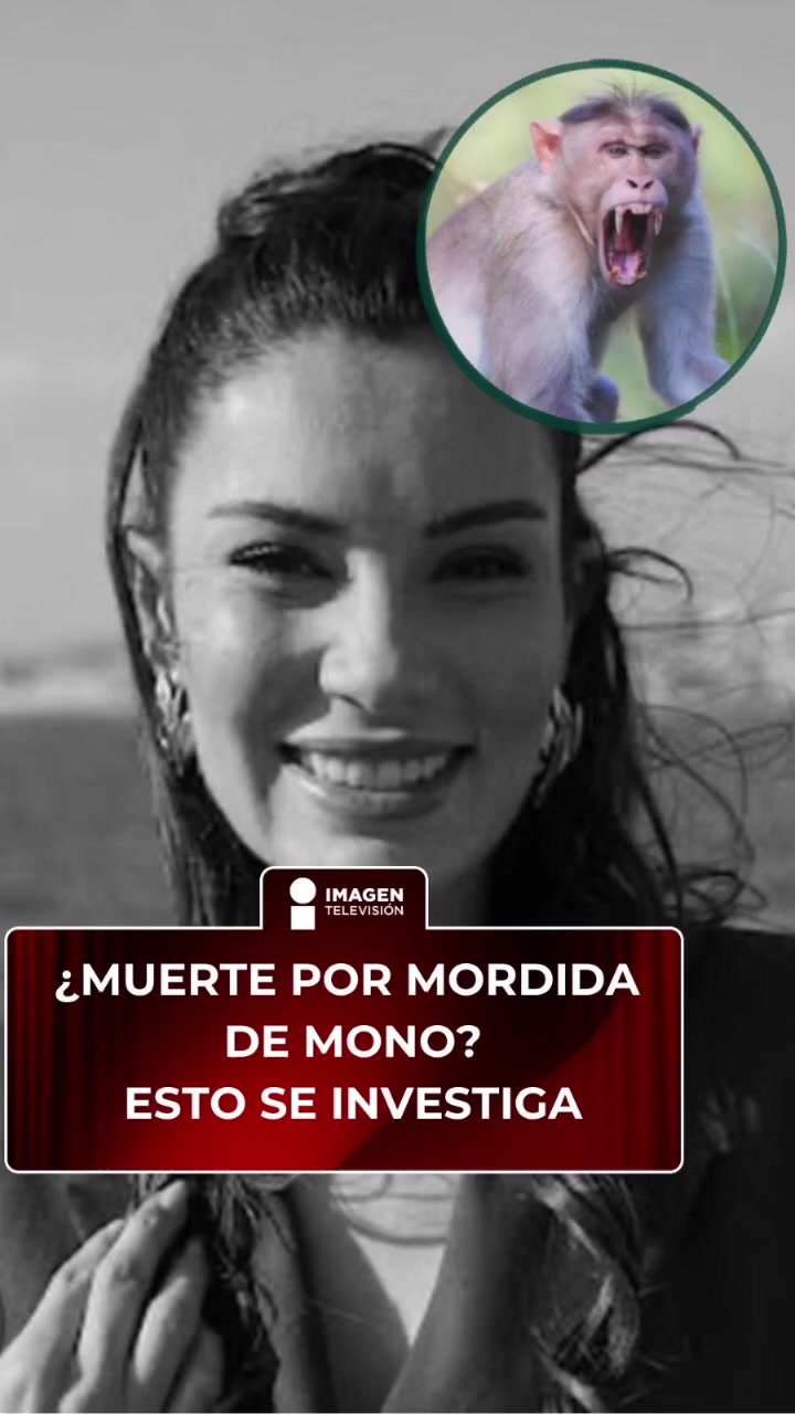 @Imagen Telenovelas