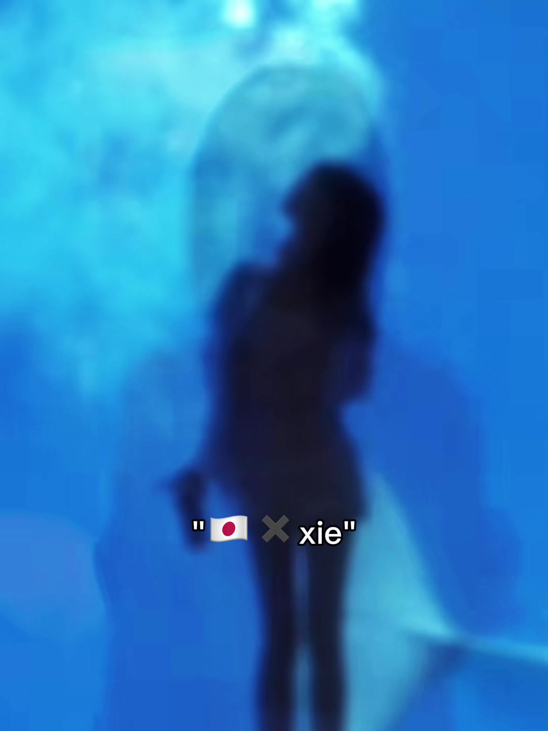 @⟡.𝗥𝗮𝗯𝗯𝗶𝘁谢_𝗙𝘂𝗻