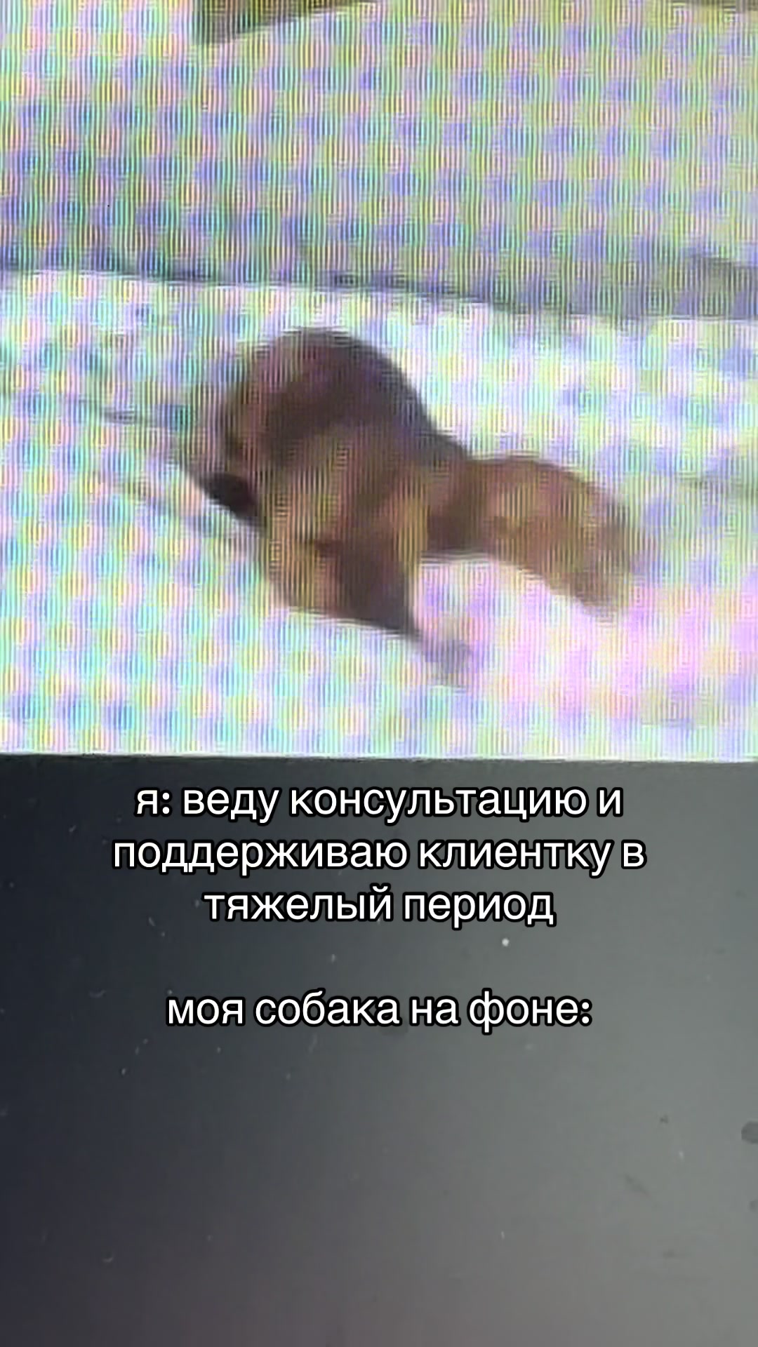 @psy_valeriii психолог КПТ/ACT