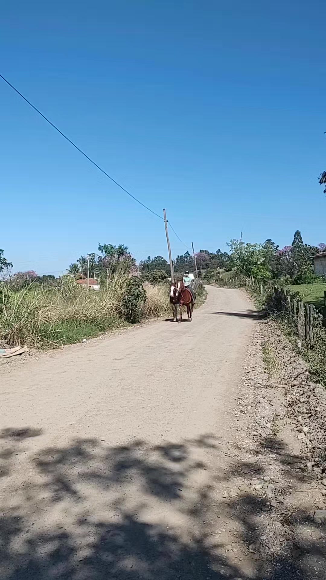 @Luciano Cuani