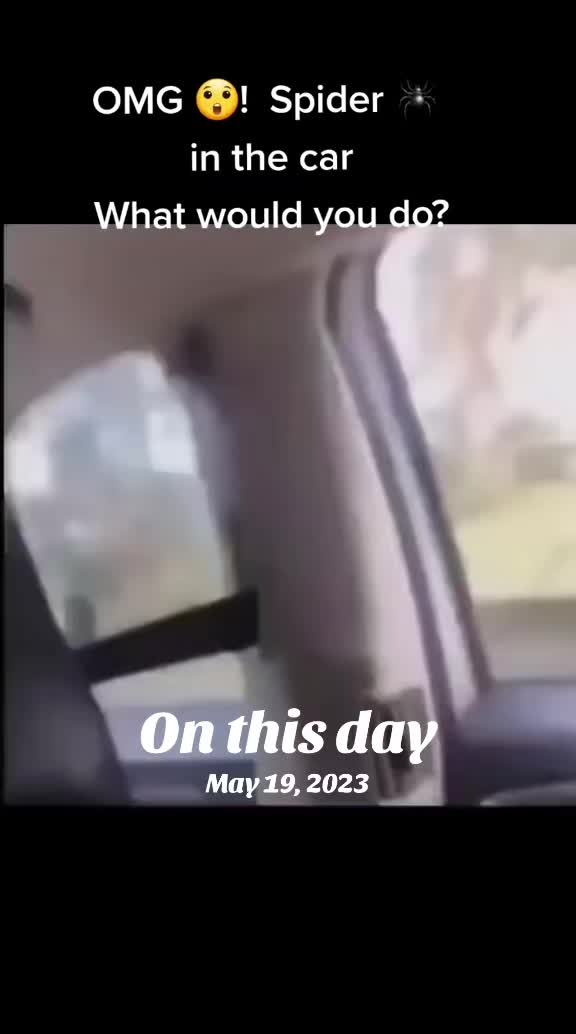 @adrianthefactor