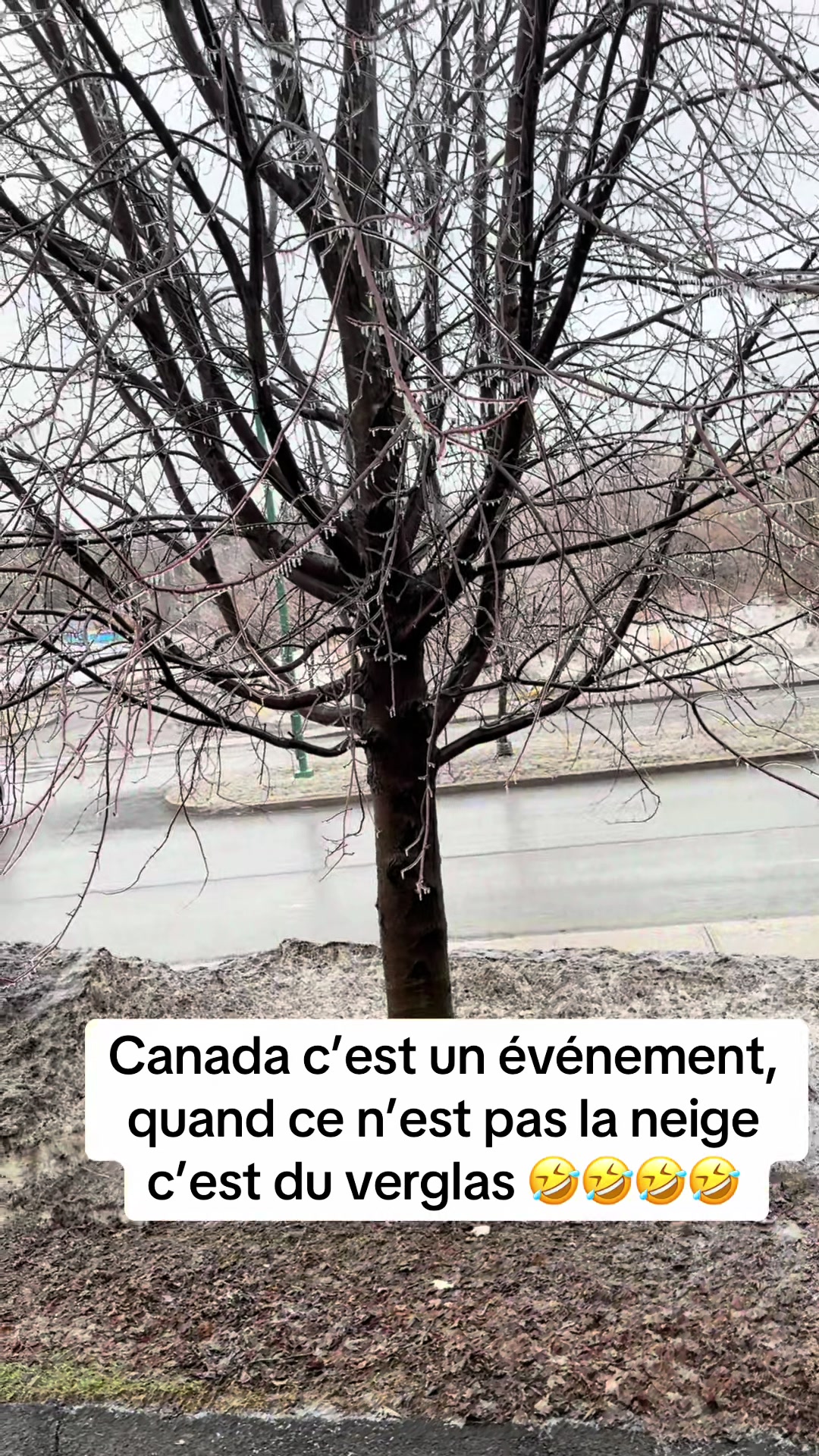 @Rêve décor