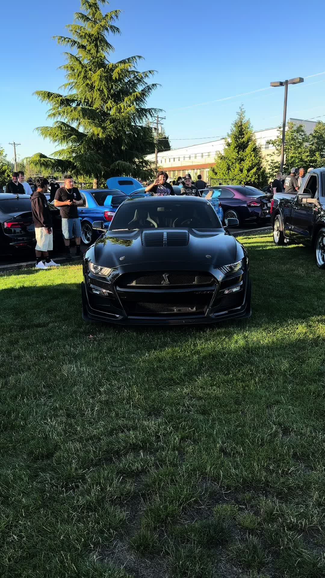 @5.2murder
