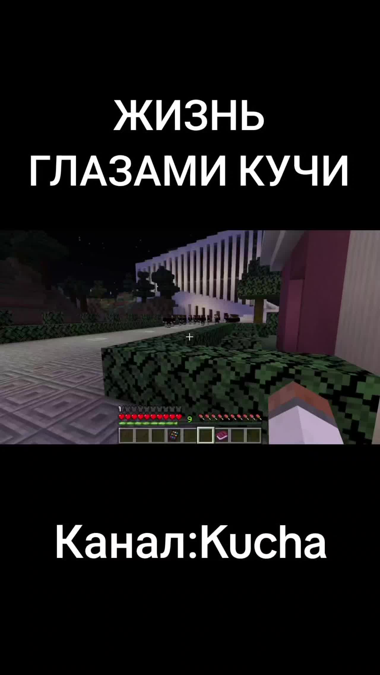 @svinina