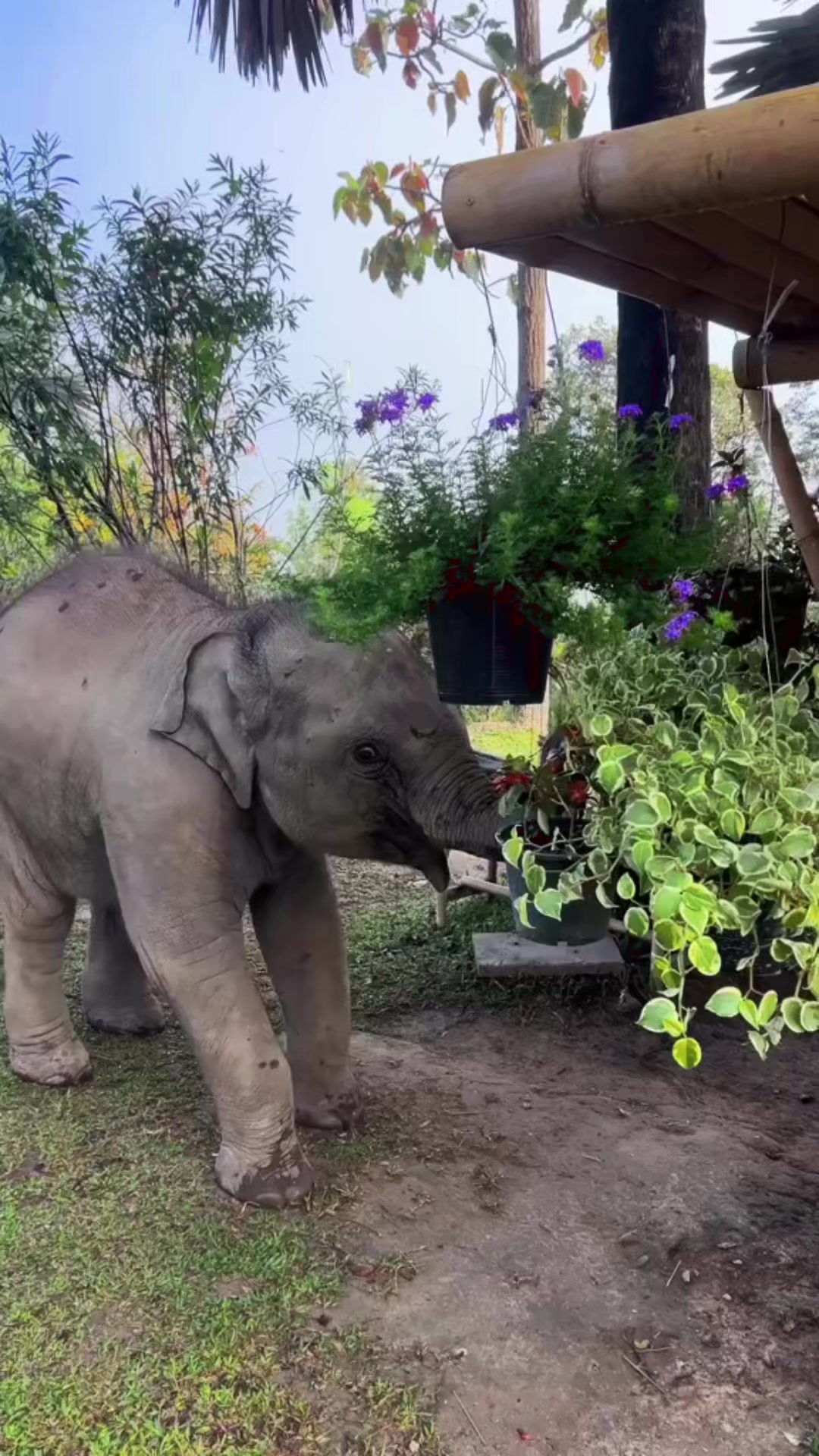 @Sandra