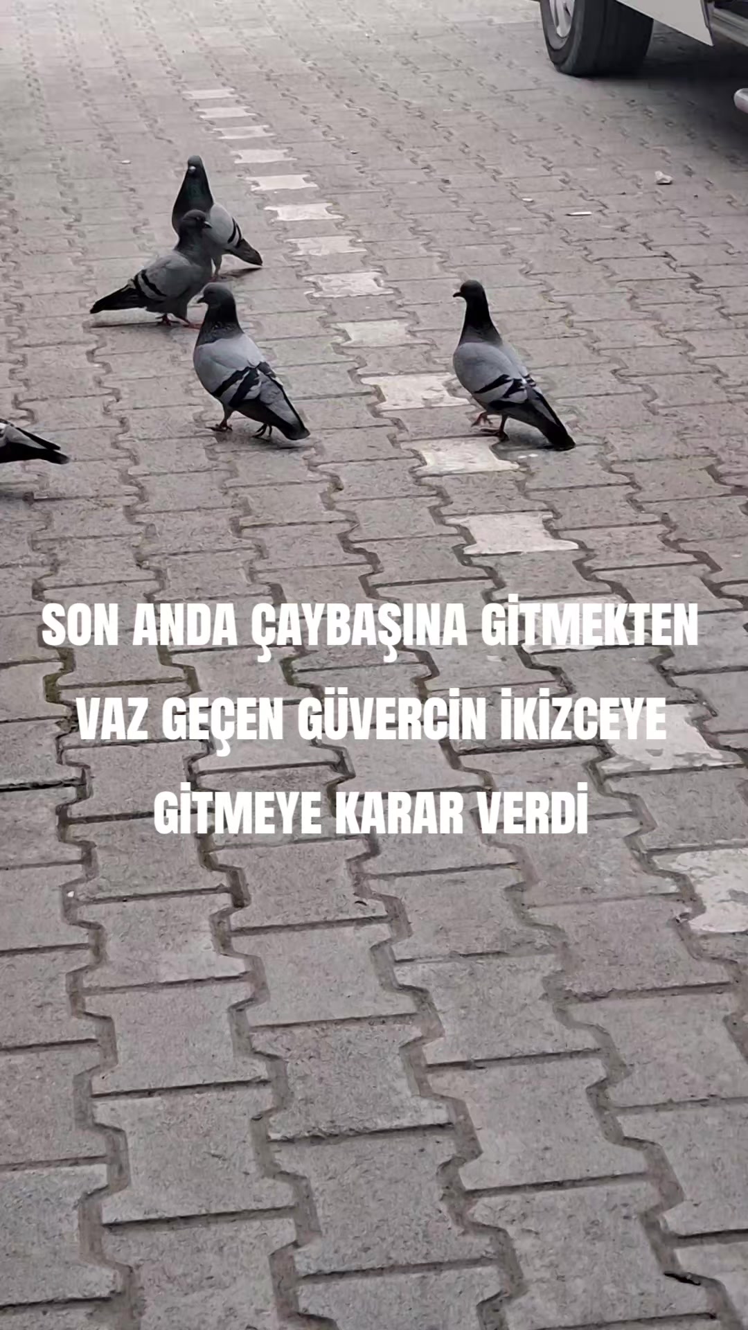 @turgaykuru