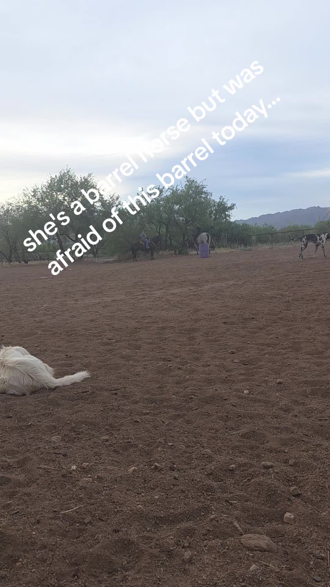 @Teresa Pierce
