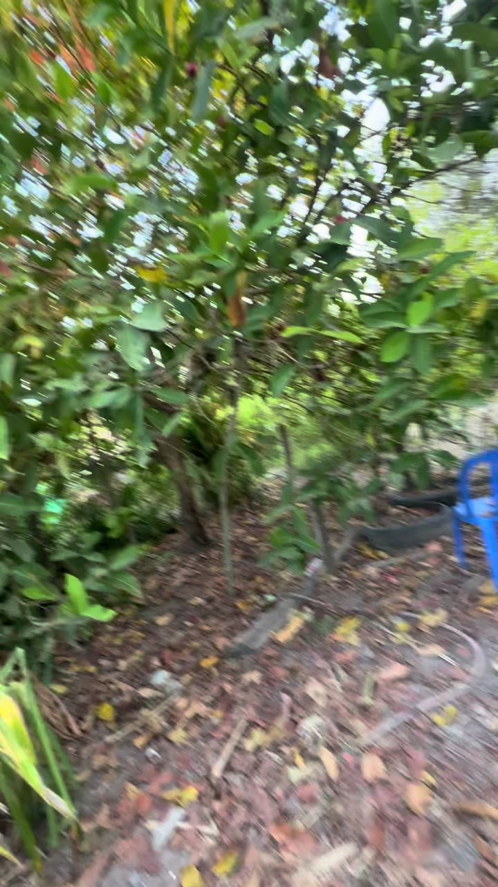@T