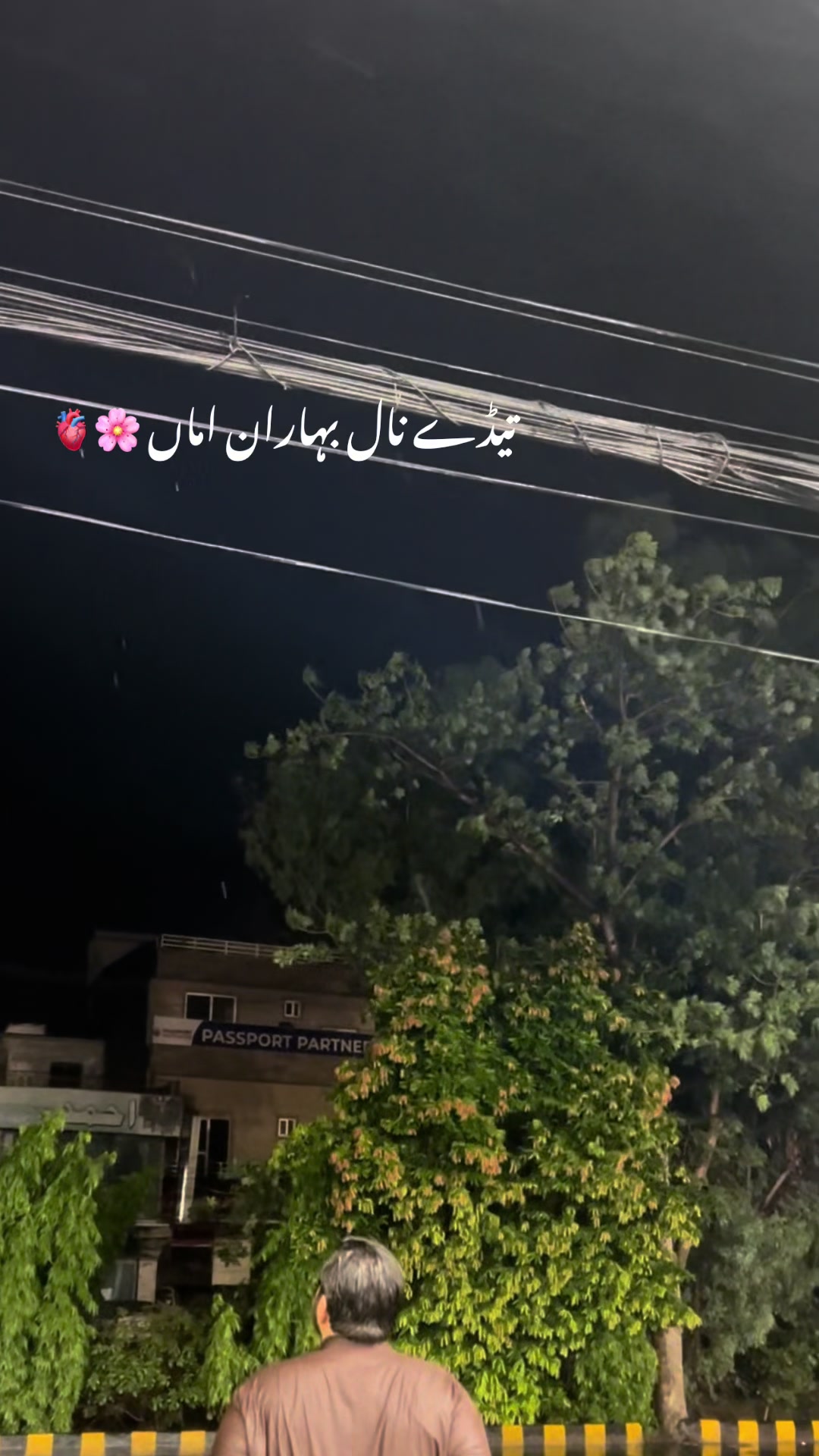 @ثاقب خان نیازی بلوخیل