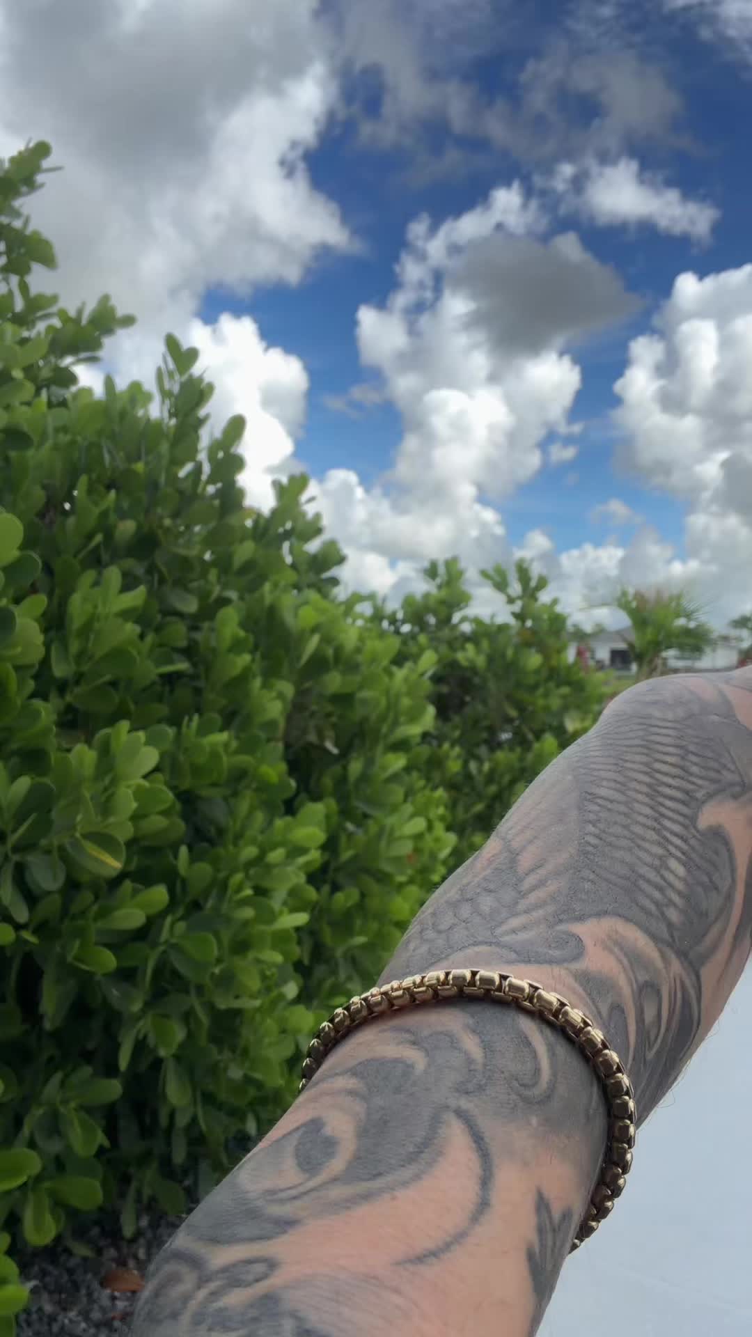@captainmuscle9555