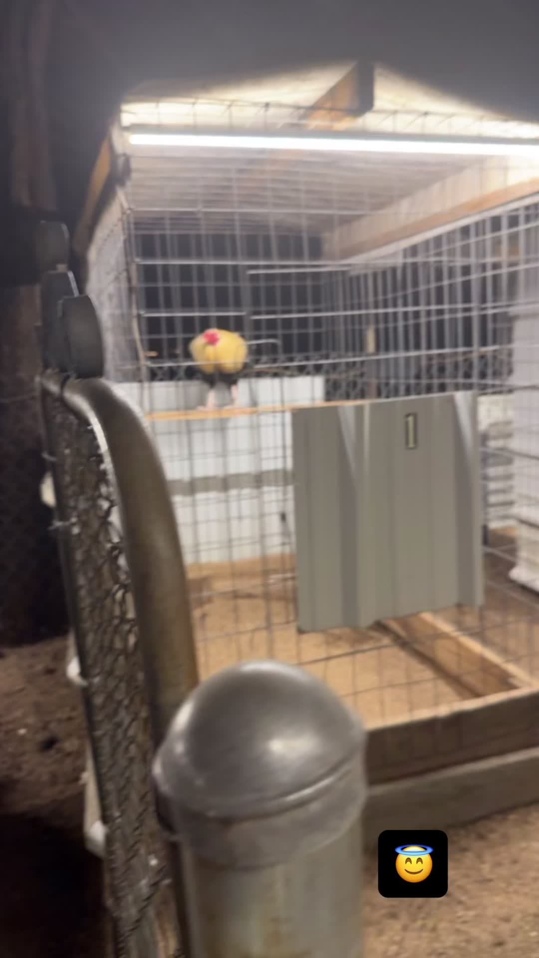 @ElPalmaritoGAMEFARM