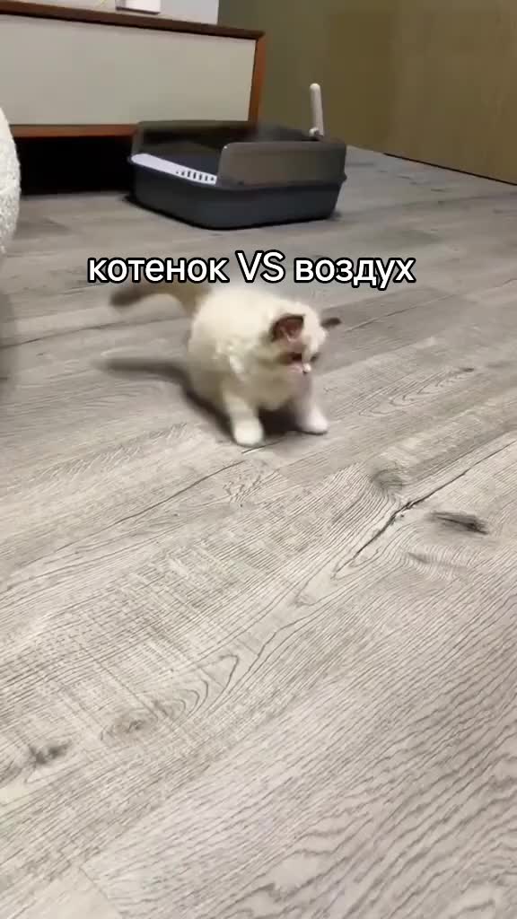 @Кирюха матюкаюсь✅