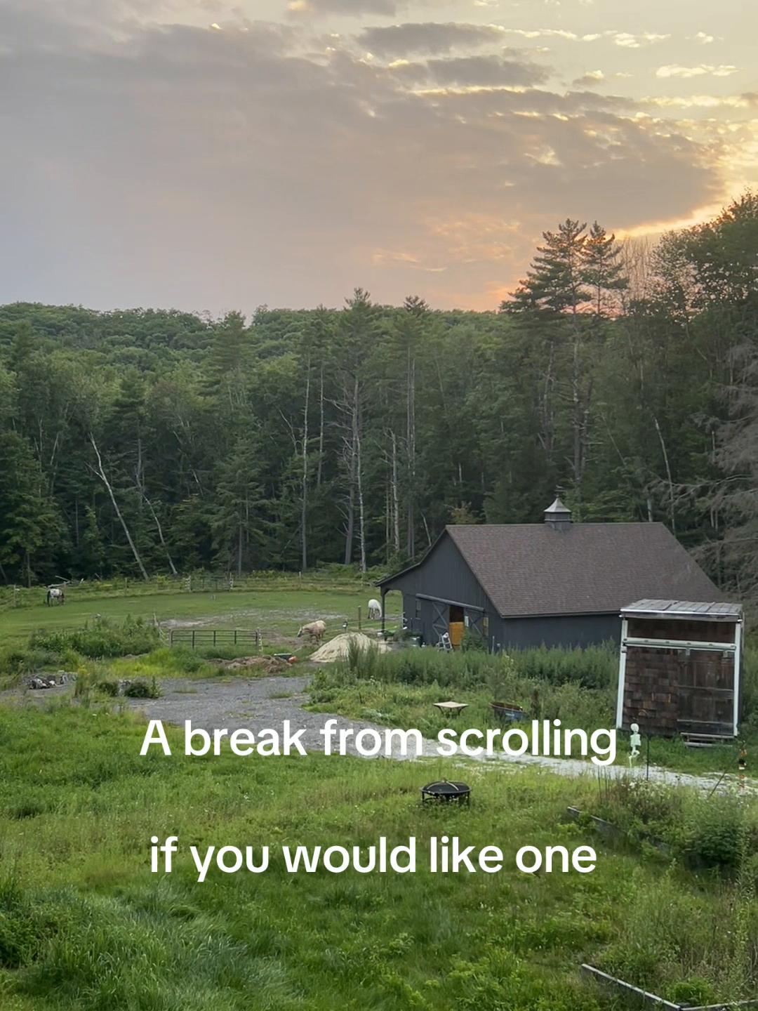 @Rooello