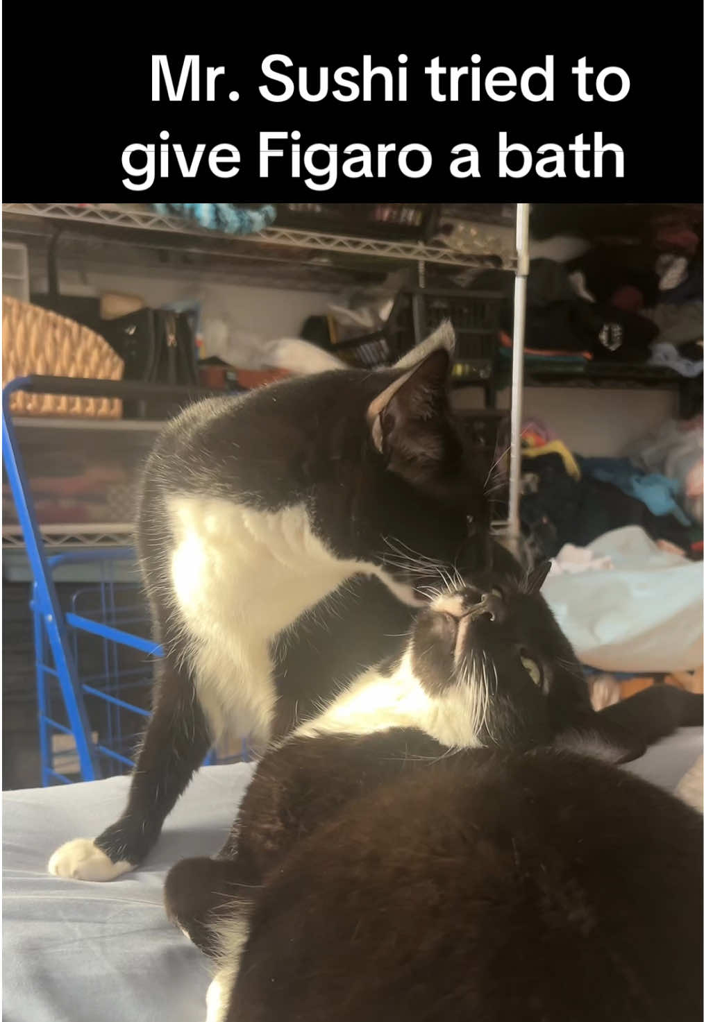 @Yumi
