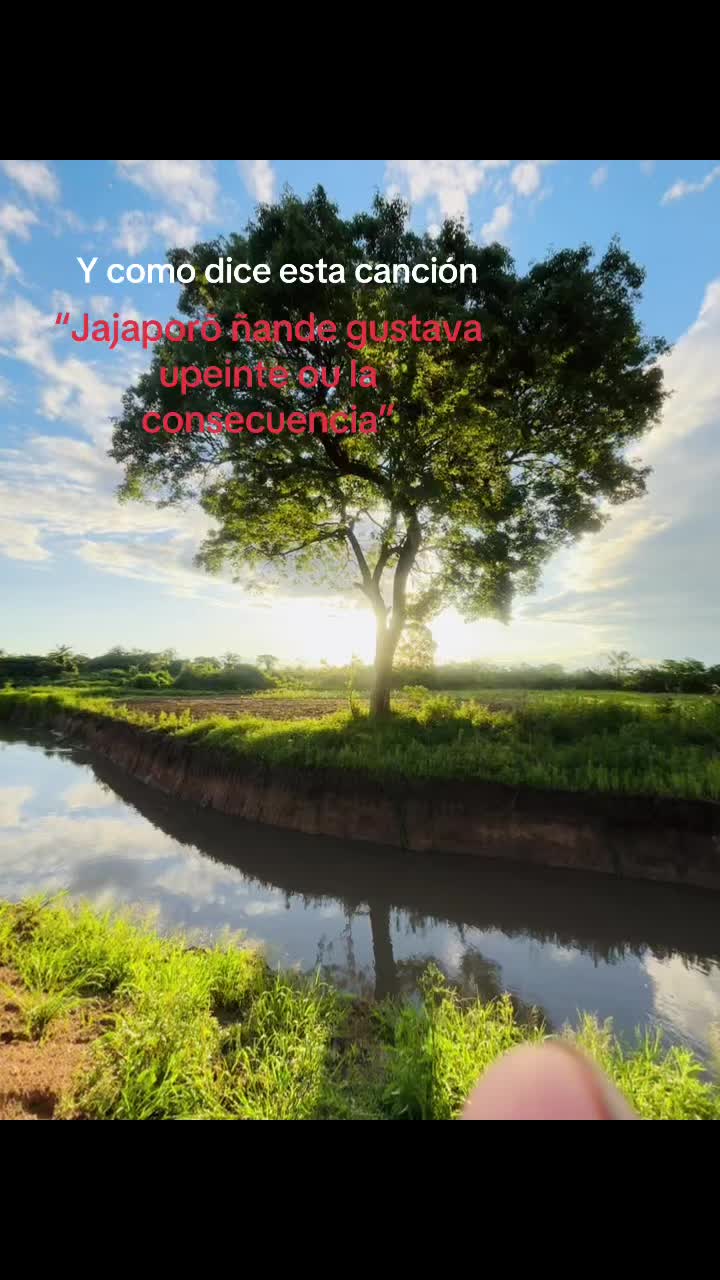 @ᴅᴇʀʟɪs ɪɴsᴀᴜʀʀᴀʟᴅᴇ