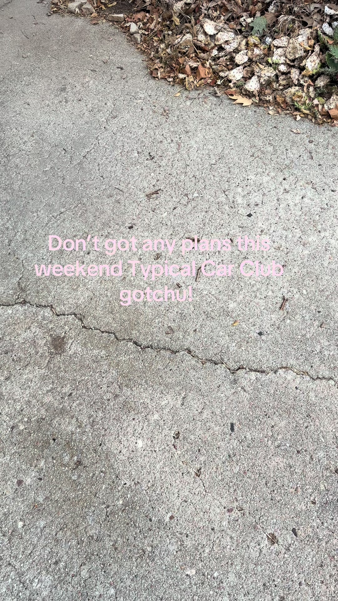 @VQ.Bear