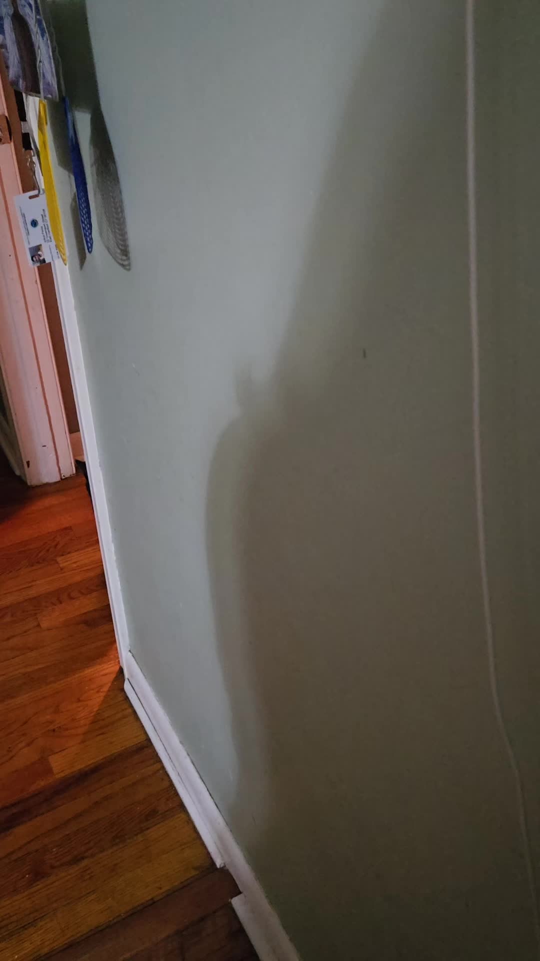 @Yayi Gonzalez