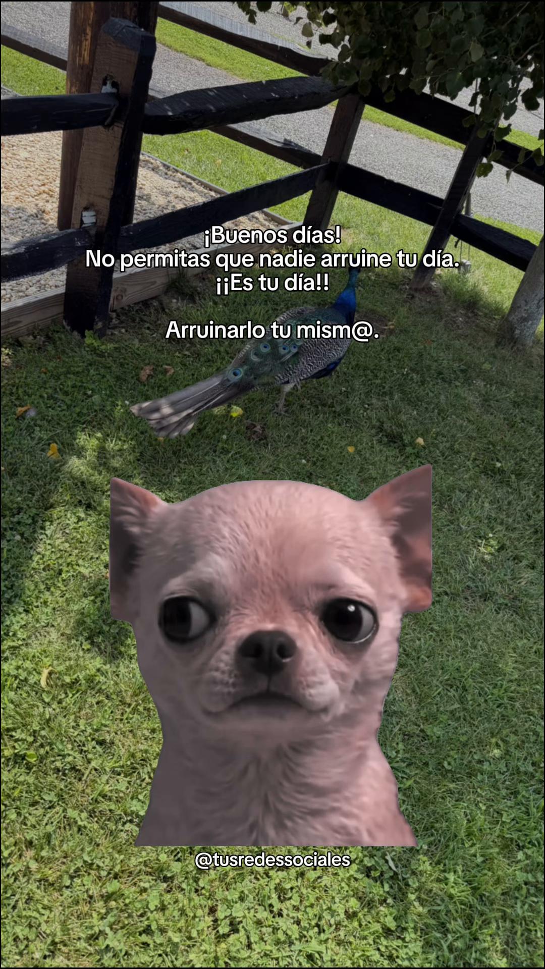 @âïžðSANDRYððŠâ€ïžðâïžðŠððŠ