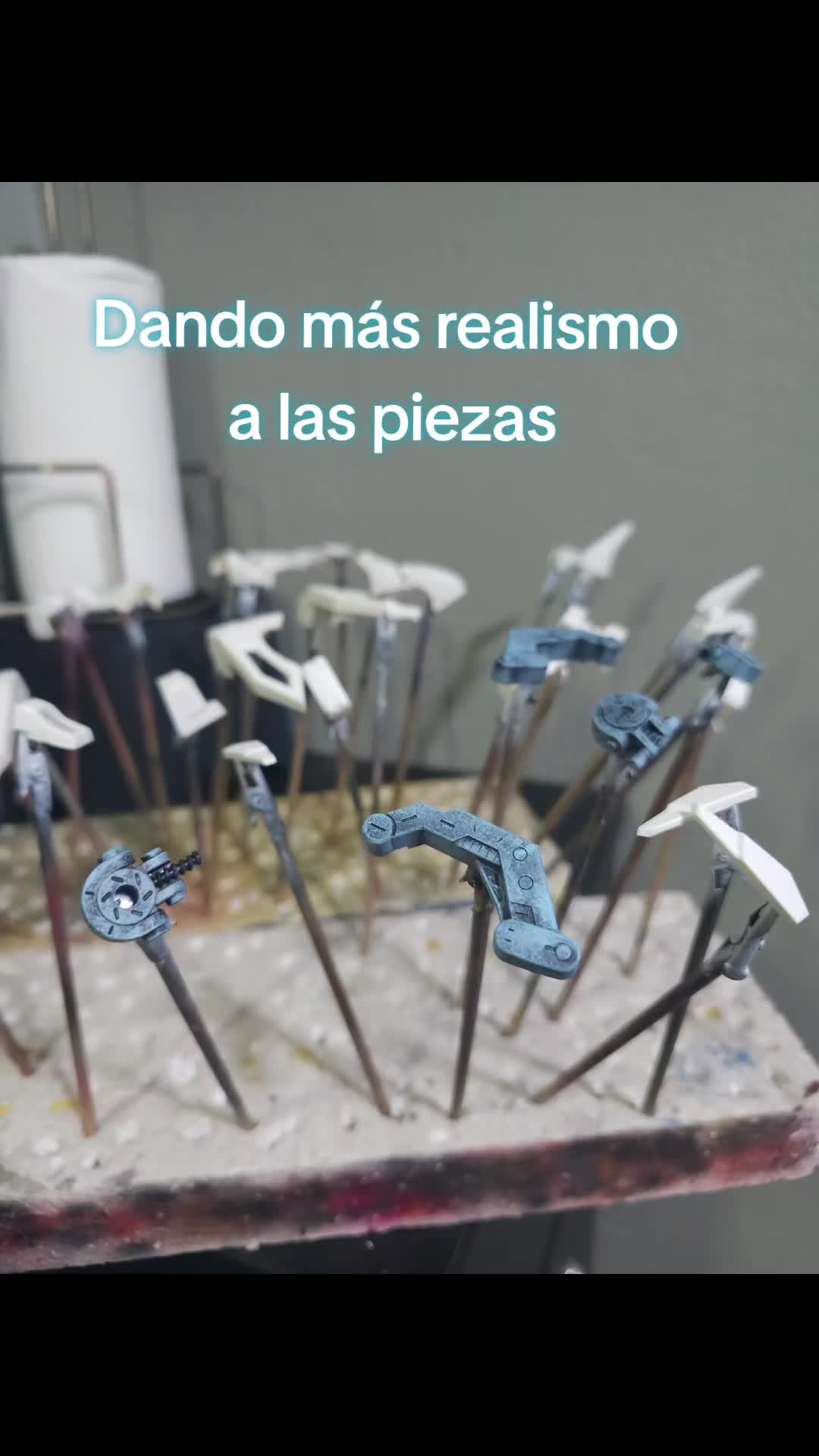@alex.casabona