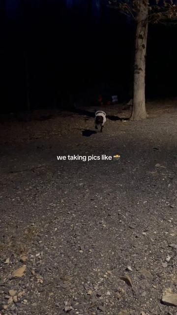 @Dana Schreffler