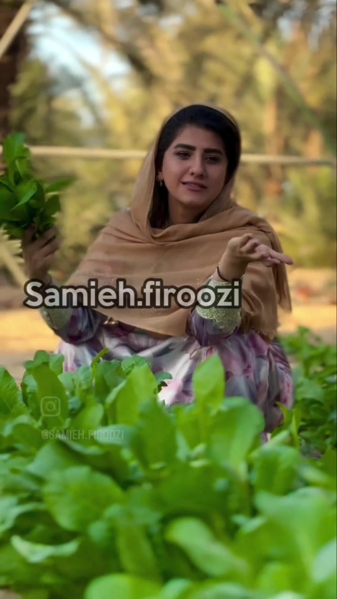 @Noor