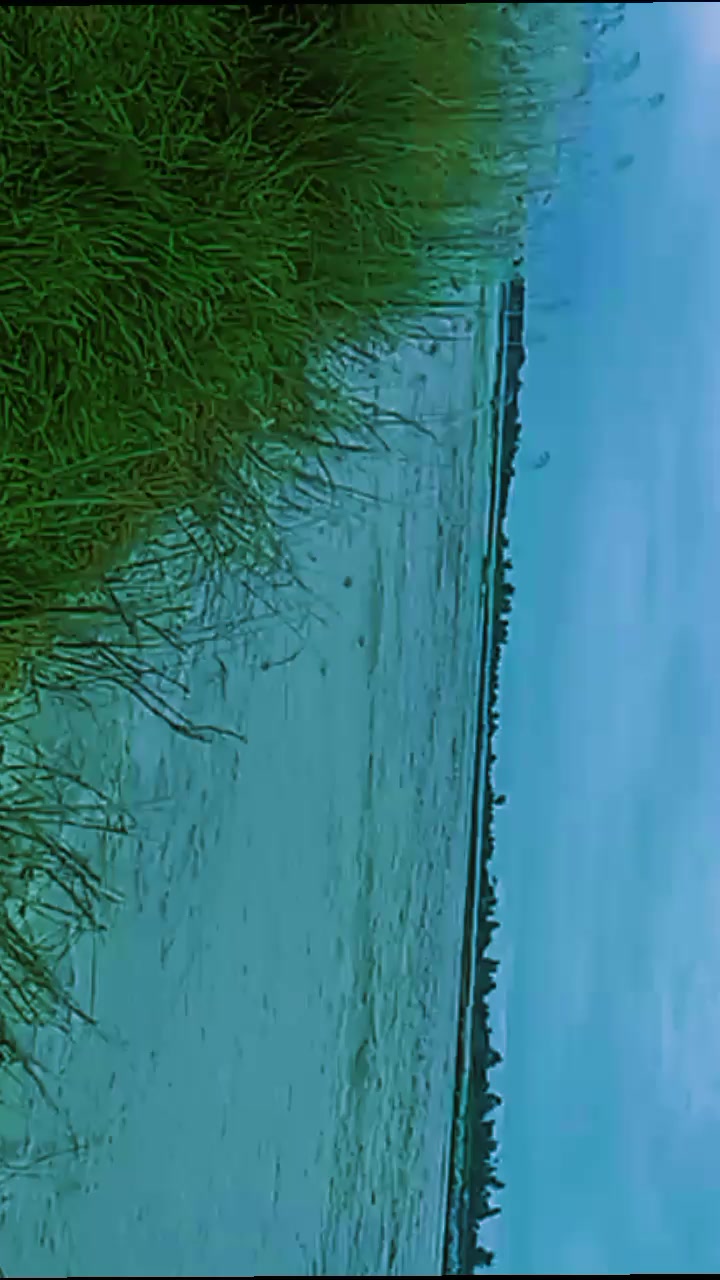 @ravikumar