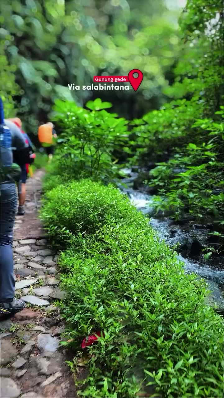 @Jalan Pulang_68