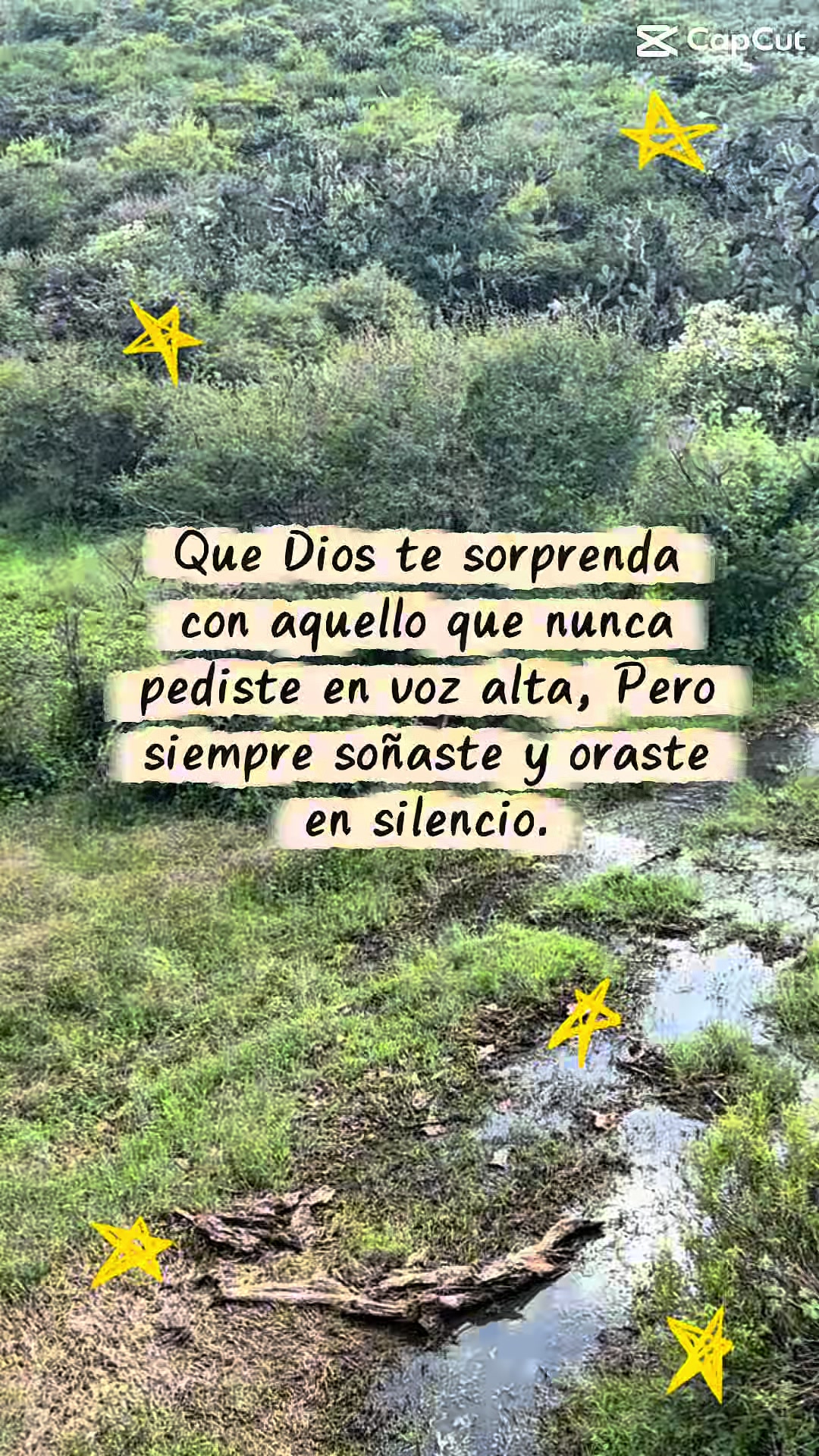 @lorenavelzquez6