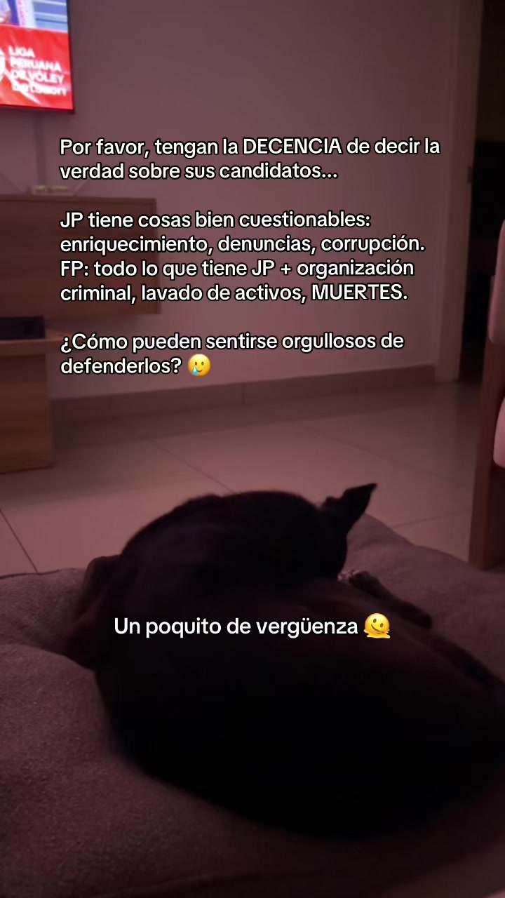 @Camila Caracciolo